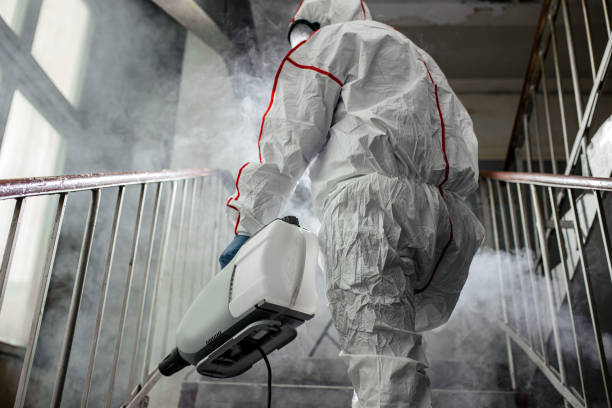 Best Mold Remediation for Vacation Homes  in Red Corral, CA